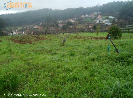  TERRENO RUSTICO EN BEMBRIVE - PONTEVEDRA 