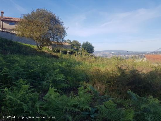 TERRENO CON LICENCIA DE CASA - PONTEVEDRA