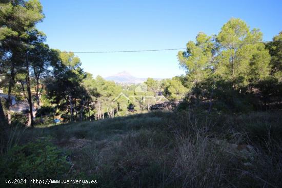  Parcela urbana de 1544 m2 con excelentes vista al valle y al Montgo, en la zona Costa Nova-Panorama, 