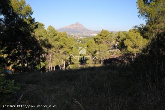 Parcela urbana de 1544 m2 con excelentes vista al valle y al Montgo, en la zona Costa Nova-Panorama,