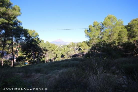 Parcela urbana de 1544 m2 con excelentes vista al valle y al Montgo, en la zona Costa Nova-Panorama,