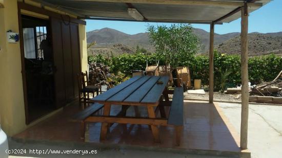 FINCA RÚSTICA CON CASA Y 10.000 METROS DE PARCELA - MURCIA