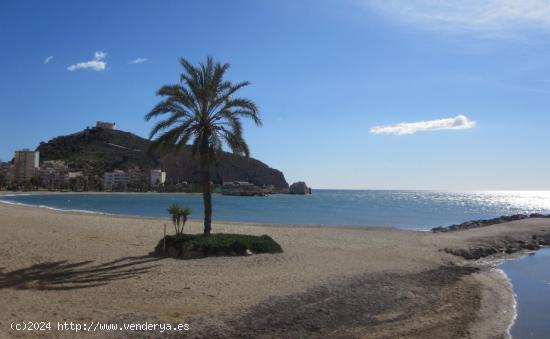 ÚLTIMAS VIVIENDAS A LA VENTA EN 1ª LÍNEA DE PLAYA DE LA COLONIA EN ÁGUILAS - MURCIA