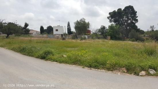 Oportunidad de compra de terreno en Moncada lindante a la urbanización Masias! - VALENCIA