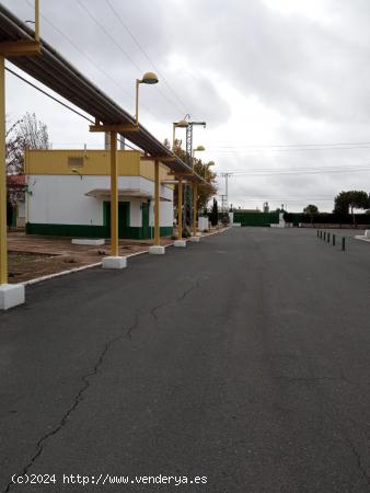 NAVES DE ALUILER EN YUNCOS - TOLEDO