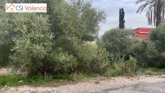 Terreno Urbano, en (Urbanización Monte Jucar) (Alberique) - VALENCIA