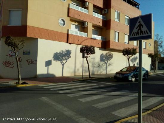 Local comercial en alquiler  - ALMERIA