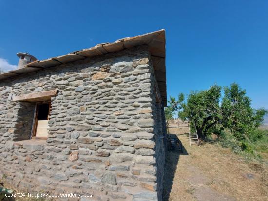 CORTIJO CON PARCELA EN VALOR - GRANADA