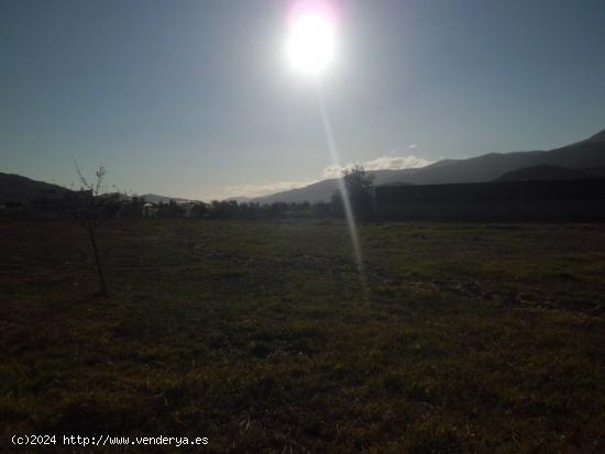 FINCA  A LA VENTA EN LAUJAR DE ANDARAX - ALMERIA