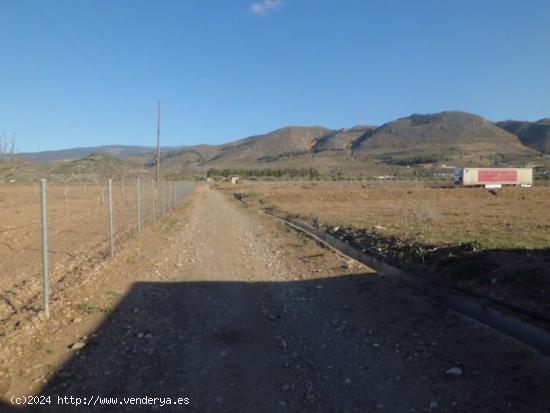 FINCA  A LA VENTA EN LAUJAR DE ANDARAX - ALMERIA