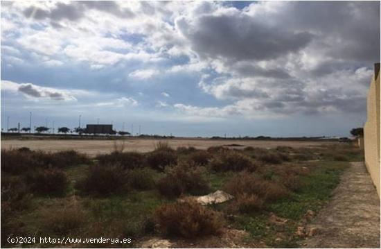 Terreno en las Norias de Daza - ALMERIA