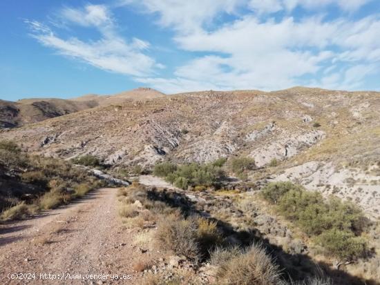  TERRENO RURAL CON AGUA - ALMERIA 