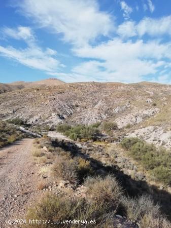 TERRENO RURAL CON AGUA - ALMERIA