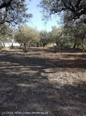 TERRENO RURAL CON AGUA - ALMERIA