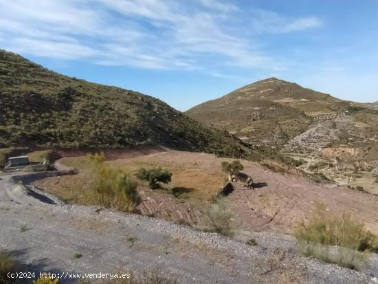 FINCA A LA VENTA EN FELIX - ALMERIA