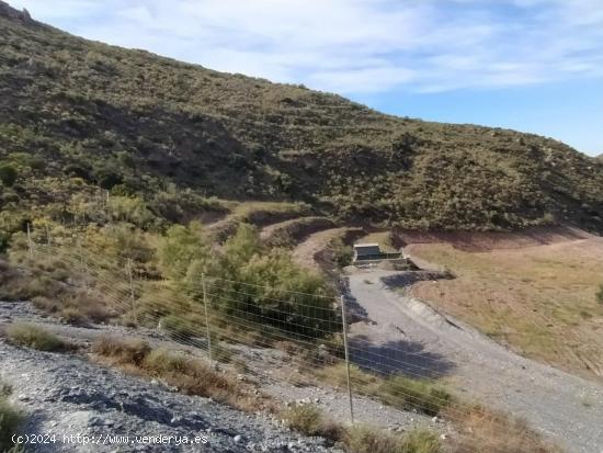 FINCA A LA VENTA EN FELIX - ALMERIA