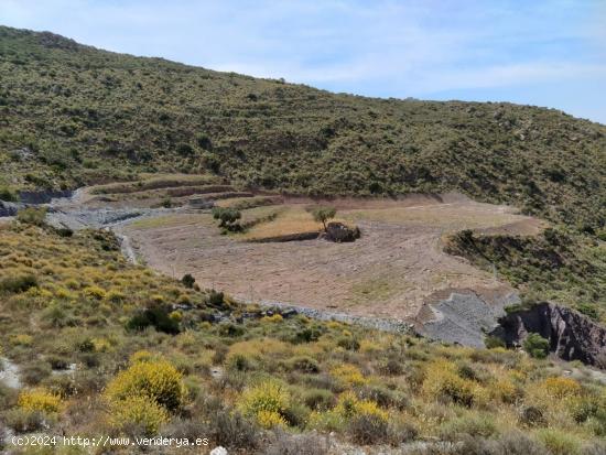 FINCA A LA VENTA EN FELIX - ALMERIA