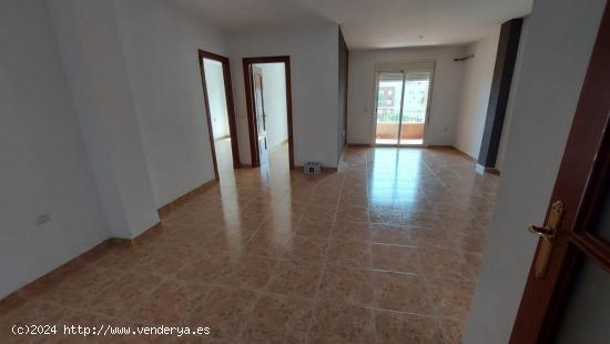 Amplio piso de 3 habitaciones en El Ejido - ALMERIA