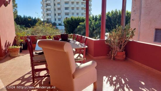  casa, restaurante y parcela en venta en la zona de santo domingo - ALMERIA 