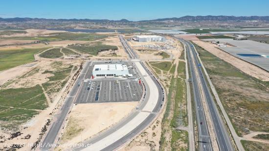 SUELO INDUSTRIAL CON 50.000 m2: PARQUE LOGÍSTICO DEL SURESTE. MURCIA. ESPAÑA. - MURCIA