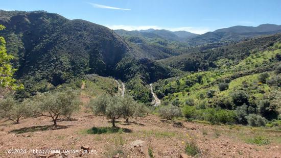 Parcela en Monda - MALAGA