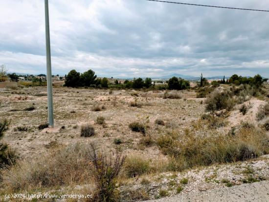  SE VENDE PARCELA EDIFICABLE EN LA MATANZA DE FORTUNA - MURCIA 