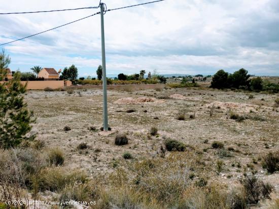 SE VENDE PARCELA EDIFICABLE EN LA MATANZA DE FORTUNA - MURCIA