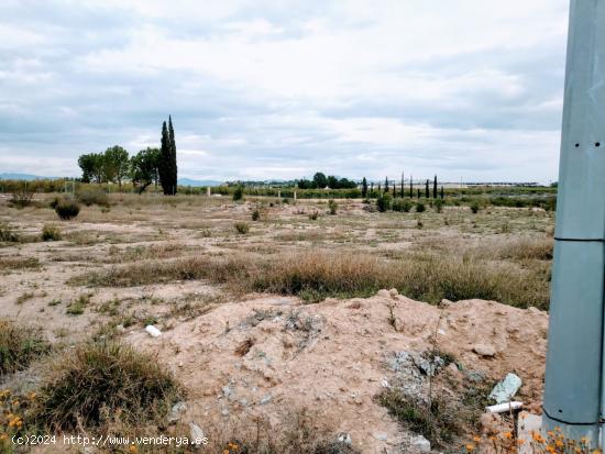 SE VENDE PARCELA RÚSTICA! - MURCIA