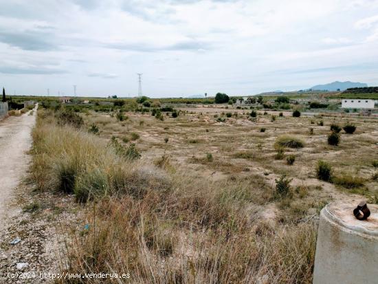  SE VENDE PARCELA RÚSTICA EN LA MATANZA DE FORTUNA! - MURCIA 