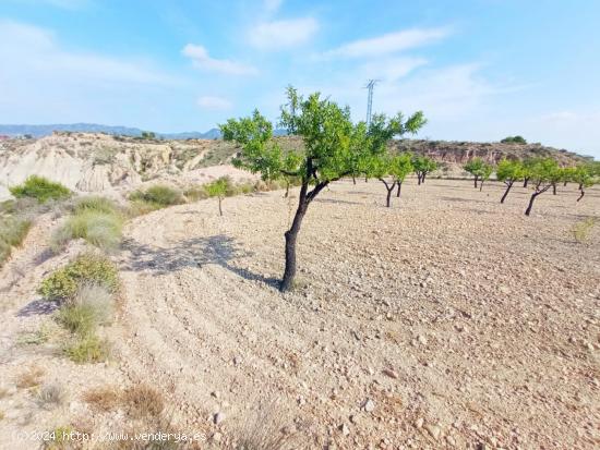 SE VENDE AMPLIA PARCELA EN ABANILLA EN EL PARAJE EL TOLLE, DE 14.328 M2 - MURCIA