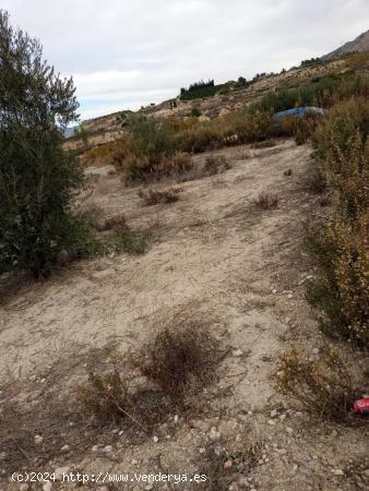 SE VENDE PARCELA RUSTICA EN ABANILLA - MURCIA