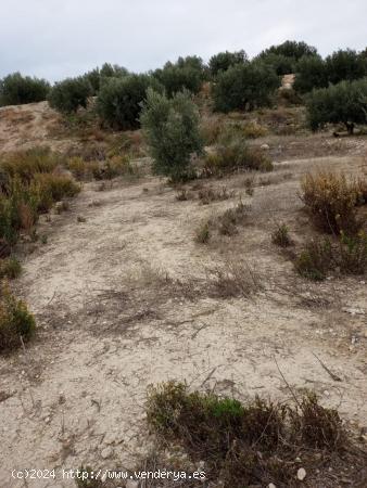 SE VENDE PARCELA RUSTICA EN ABANILLA - MURCIA