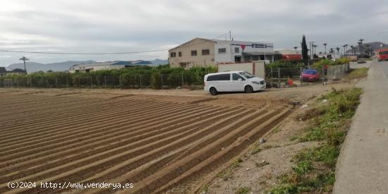 PARCELA RUSTICA EN VENTA (EL SISCAR/SANTOMERA) - MURCIA