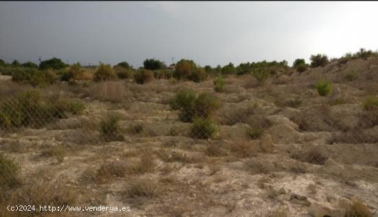 TERRENO EN PEÑA LAS AGUILAS, Elche - ALICANTE