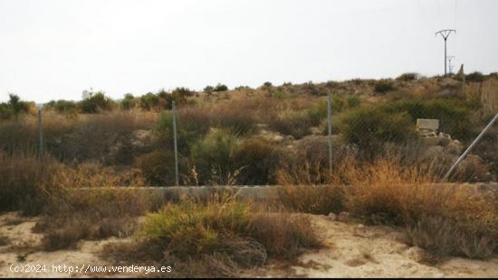 TERRENO EN PEÑA LAS AGUILAS, Elche - ALICANTE