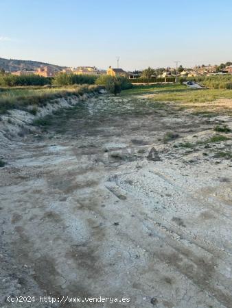 Finca  Rústica  en  venta - MURCIA