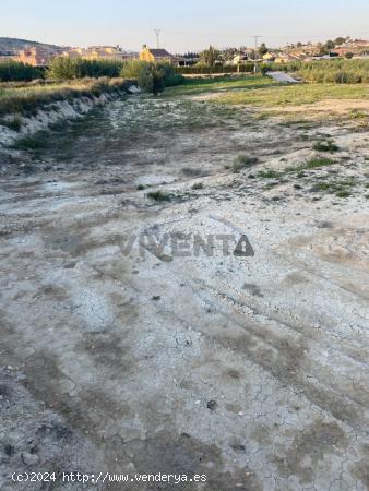 Finca  Rústica  en  venta - MURCIA