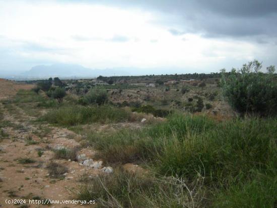  Se venden parcelas - ALICANTE 