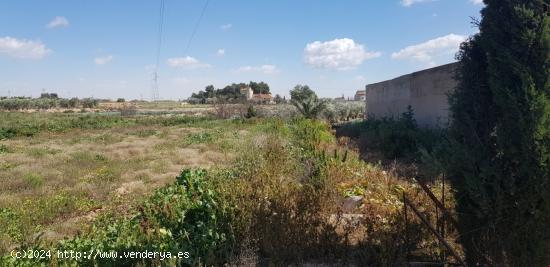 Terreno 13.000 m2 Partida Deula. 82.000 Euros - ALICANTE