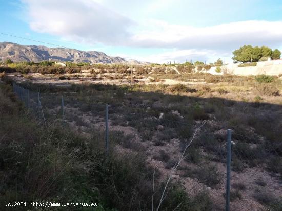 Construye tu chalet en Crevillente - ALICANTE