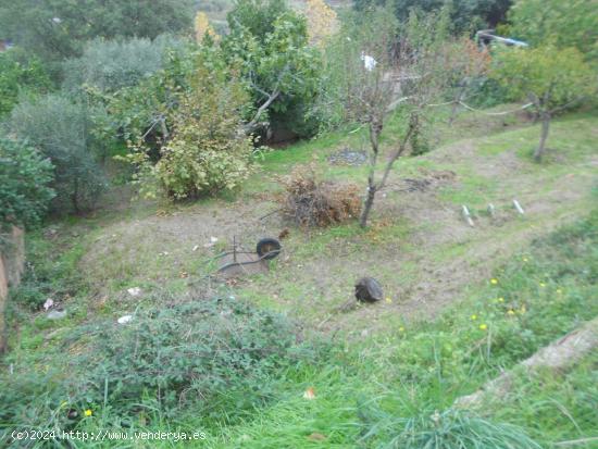  TERRENY A LA ZONA DELS FRUITERS. - BARCELONA 