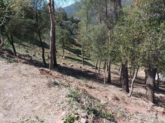 TERRENO URBANO EN ST FELIU RACÓ - BARCELONA