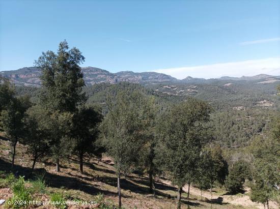 TERRENO URBANO EN ST FELIU RACÓ - BARCELONA