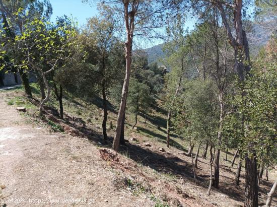 TERRENO URBANO EN ST FELIU RACÓ - BARCELONA