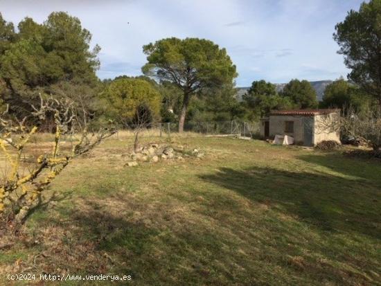 OPORTUNITAT TERRENY TOTALMENT PLA ORIENTACIÓ SUD AMB AIGUA, LLUM, MUR I SORTIDA DIRECTE AL BOSC - B