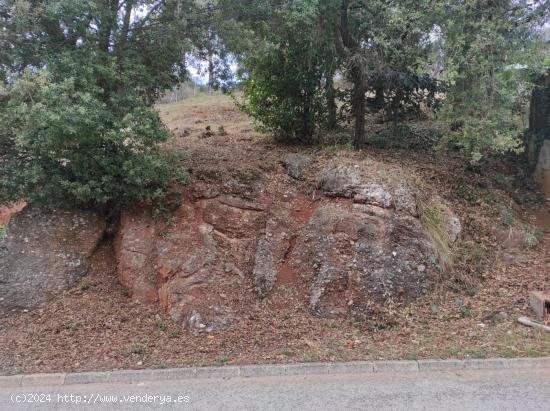 TERRENY URBÀ ENVOLTAT DE NATURALESA - BARCELONA