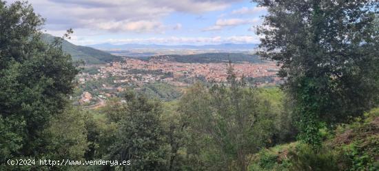 Terreno situado en Sant Feliu del Racó - BARCELONA