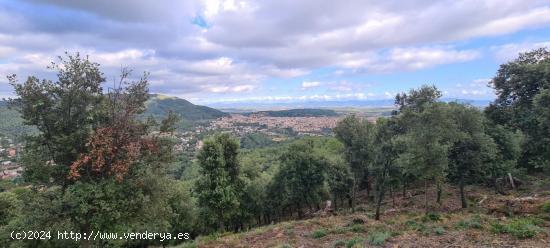 Terreno situado en Sant Feliu del Racó - BARCELONA