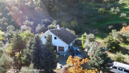  Finca rústica en la Yunquera !! - MALAGA 