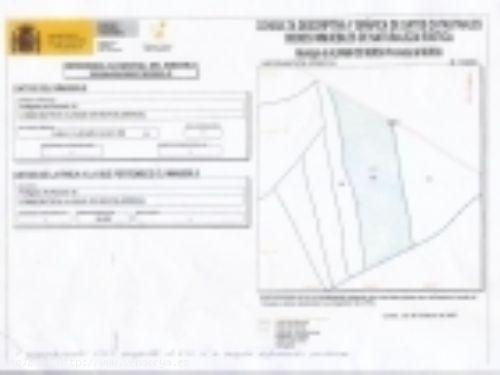 Solar residencial, no sectorizado de 312.270 m2. - MURCIA